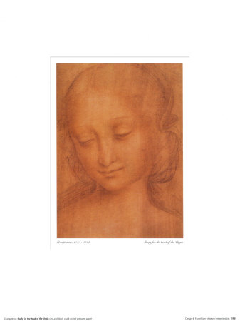 Study For The Head Of The Virgin by Leonardo Da Vinci Pricing Limited Edition Print image
