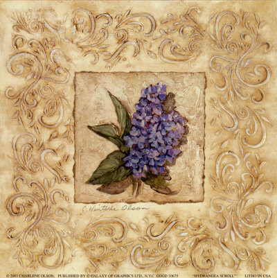 Hydrangea Scroll by Charlene Winter Olson Pricing Limited Edition Print image