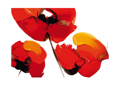 Three Poppies (White) by Tibi Hegyesi Pricing Limited Edition Print image