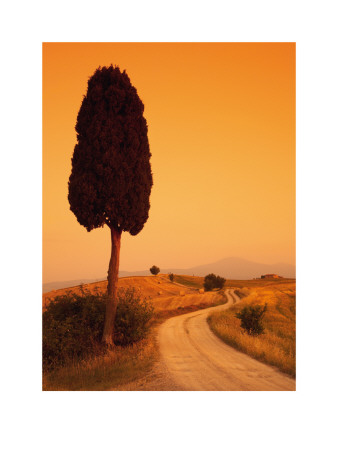 Bella Toscana by Tom Mackie Pricing Limited Edition Print image