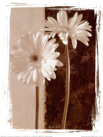Basic Flowers I by Marita Stock Pricing Limited Edition Print image