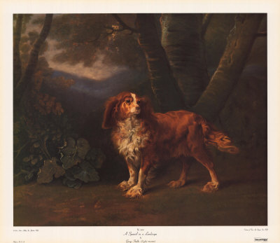 Spaniel In A Landscape by George Stubbs Pricing Limited Edition Print image