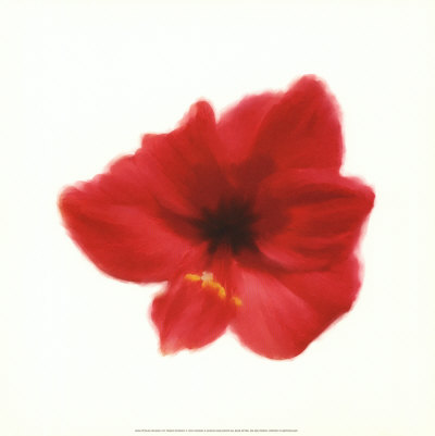 Petales Rouges I by Tasmin Phoeni Pricing Limited Edition Print image