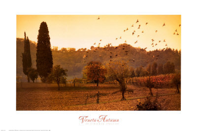 Veneto Autumn by Steven Rothfeld Pricing Limited Edition Print image