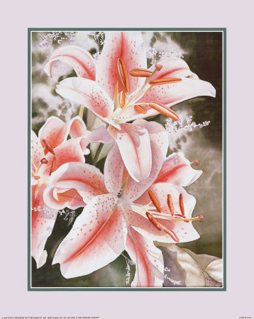 Pink Lilies by Linscott Pricing Limited Edition Print image