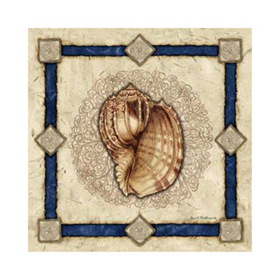 Mollusk Shell Ii by Jane Matthews Pricing Limited Edition Print image
