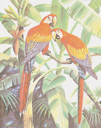 Scarlet Macaws by Leland Brewsaugh Pricing Limited Edition Print image