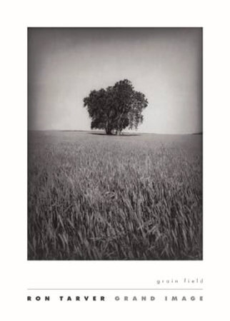 Grain Field by Tarver Ron Pricing Limited Edition Print image