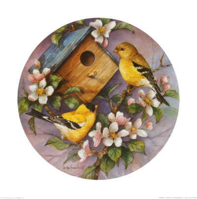 Goldfinch And Apple Blossoms by Carolyn Shores-Wright Pricing Limited Edition Print image