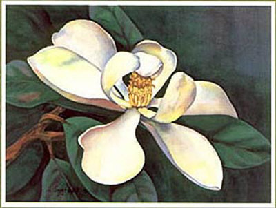 Twilight Magnolia I by Jane Segrest Pricing Limited Edition Print image