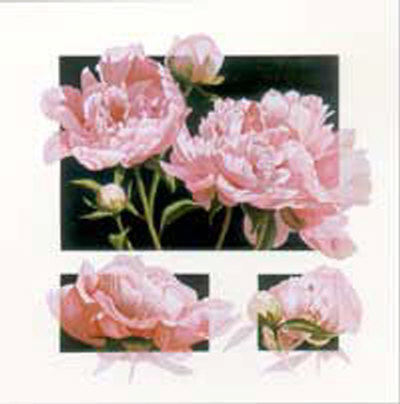Pink Peony Concepts by Dorothea Celania Pricing Limited Edition Print image