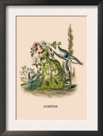 Aubepine by J.J. Grandville Pricing Limited Edition Print image