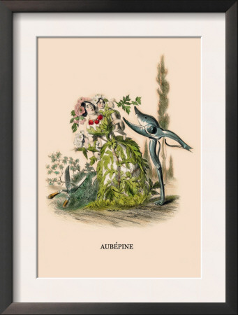 Aubepine by J.J. Grandville Pricing Limited Edition Print image
