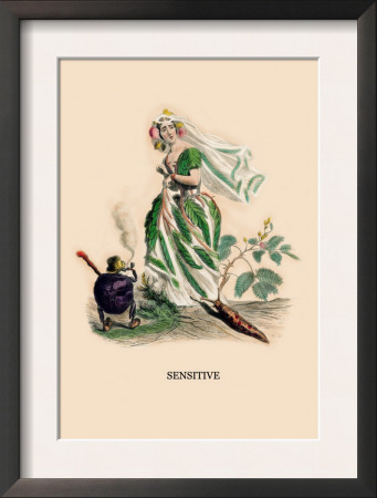 Sensitive by J.J. Grandville Pricing Limited Edition Print image
