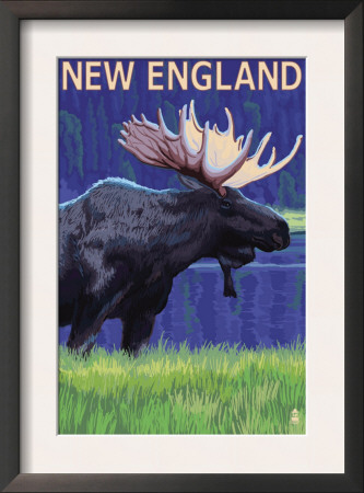 Moose At Night In New England, C.2009 by Lantern Press Pricing Limited Edition Print image