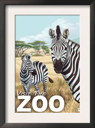 Visit The Zoo - Zebra Scene, C.2009 by Lantern Press Pricing Limited Edition Print image