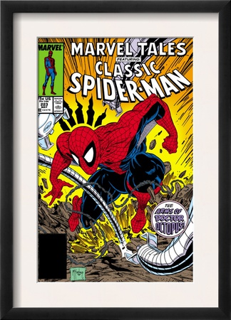 Marvel Tales: Spider-Man #223 Cover: Spider-Man And Doctor Octopus Fighting by Todd Mcfarlane Pricing Limited Edition Print image