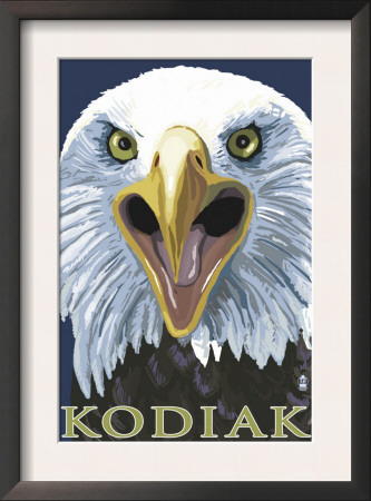 Kodiak, Alaska - Eagle Up Close, C.2009 by Lantern Press Pricing Limited Edition Print image