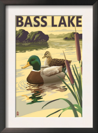 Bass Lake, California - Mallard Ducks, C.2009 by Lantern Press Pricing Limited Edition Print image
