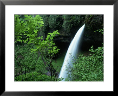 Lush Vegetation Surrounding A Waterfall by James Morris Pricing Limited Edition Print image