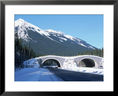Wildlife Overpass, Banff National Park, Can by Troy & Mary Parlee Pricing Limited Edition Print image