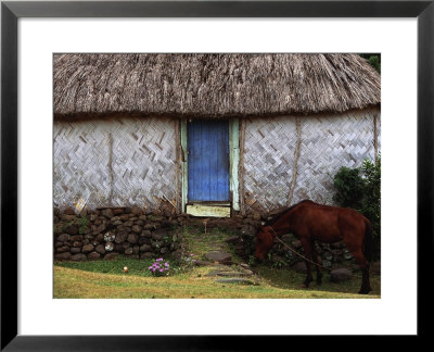 The Village Horse, Navala, Viti Levu by Walter Bibikow Pricing Limited Edition Print image
