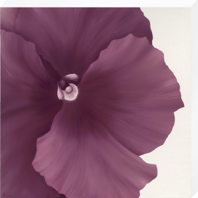 Violet Flower Ii by Yvonne Poelstra-Holzhaus Pricing Limited Edition Print image