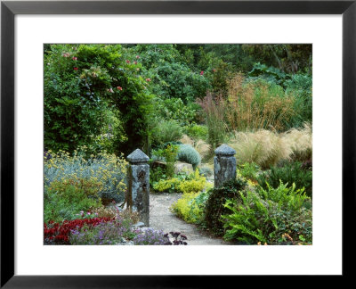 Granite Gate Posts In Contemporary Garden Late Summer Pinsla Garden, Cornwall by Mark Bolton Pricing Limited Edition Print image