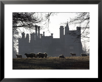 Mansion With Backlit Sheep, Somerset, Uk by David Clapp Pricing Limited Edition Print image