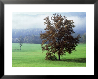 Scene In Cades Cove, Tn, Usa by Willard Clay Pricing Limited Edition Print image