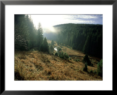 Valley Of A Small River, Czech Republic by Berndt Fischer Pricing Limited Edition Print image