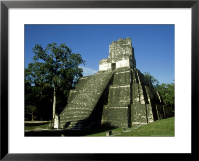 Mayan Ruins At Tikal, El Peten, Guatemala by Paul Franklin Pricing Limited Edition Print image