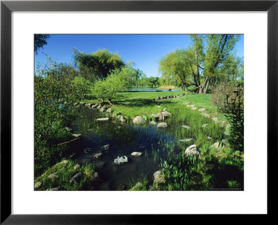 Garden, Botanical Garden, Canada by Philippe Henry Pricing Limited Edition Print image