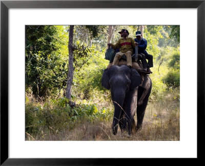 Indian Tourists Onboard An Elephant Looking For Tigers, Madhya Pradesh, India by Elliott Neep Pricing Limited Edition Print image