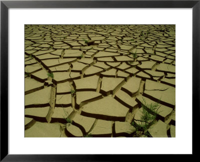 Dried Up Waterhole, Algeria by Richard Packwood Pricing Limited Edition Print image