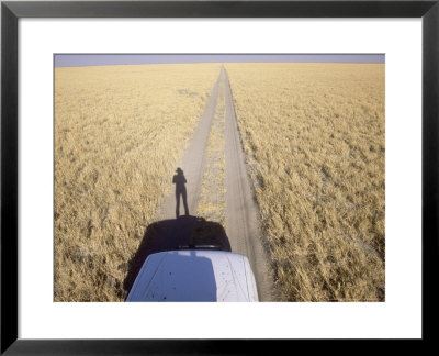 View Of Road To Baines Baobabs Nxai Pan National Park, Botswana by Richard Packwood Pricing Limited Edition Print image