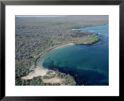 Post Office Bay, Floreana Island, Galapagos Islands by Mary Plage Pricing Limited Edition Print image