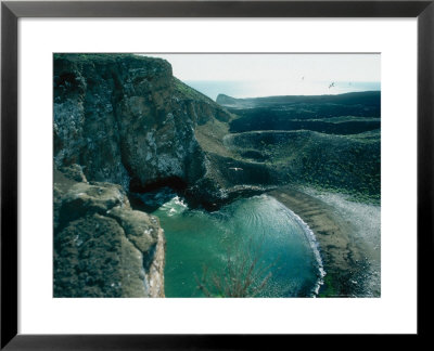 Sheltered Cove, Isabela, Galapagos Islands by Mary Plage Pricing Limited Edition Print image
