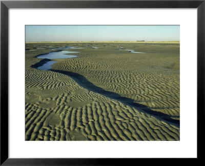 Sand Ripples And Tidal Pools, West Sussex, Uk by Ian West Pricing Limited Edition Print image