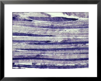 Normal Human Skeletal Muscle by G. W. Willis Pricing Limited Edition Print image