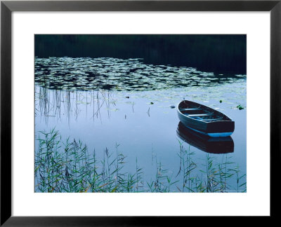 Rowboat On Lake Surrounded By Water Lilies, Lake District National Park, England by Tom Haseltine Pricing Limited Edition Print image