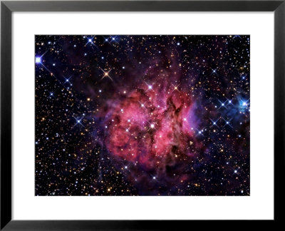 Cocoon Nebula by Stocktrek Images Pricing Limited Edition Print image