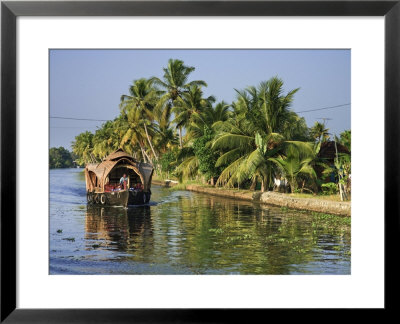 Kerala Backwaters Near Allapuzha, Kerala, India by Michele Falzone Pricing Limited Edition Print image