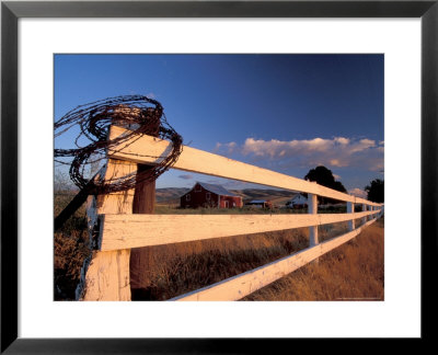 Coiled Barbed Wire And Red Barn, Near Walla Walla, Washington, Usa by Brent Bergherm Pricing Limited Edition Print image