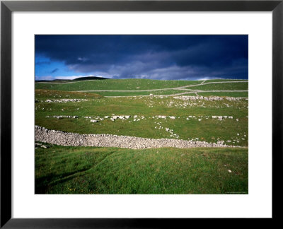 Limestone 'Pavements', Dry Stone Walls And Moody Skies, All Characteristics Of The Dales by David Else Pricing Limited Edition Print image