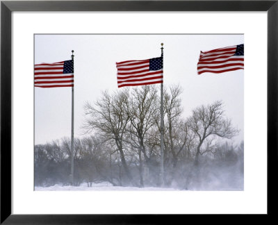 American Flags Blow In A Winter Storm, Washington, D.C. by Stacy Gold Pricing Limited Edition Print image