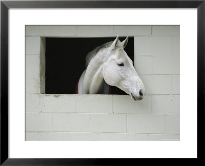 Horse Sticks His Head Out Of A Window In A Cinderblock Stable by Michael Melford Pricing Limited Edition Print image