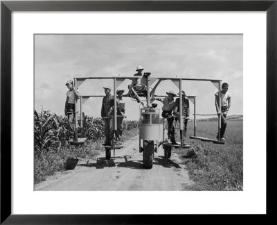 Contraption Built On Farm To Carry Youngsters Down Rows Of Corn So They Can Pull Off Corn Tassels by Alfred Eisenstaedt Pricing Limited Edition Print image