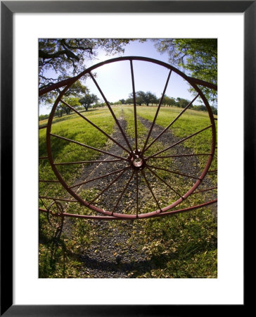 Gate With Metal Wheel Near Cuero, Texas, Usa by Darrell Gulin Pricing Limited Edition Print image