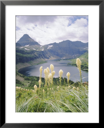 Beargrass, Hidden Lake And Mount Reynolds, Glacier National Park, Montana, Usa by Geoff Renner Pricing Limited Edition Print image